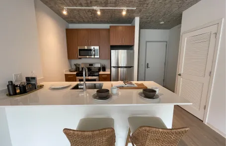 2 Bedroom South Loop Apartment