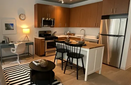 1 Bedroom South Loop Apartment