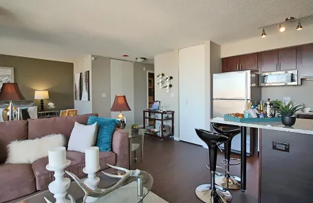 1 Bedroom River North Apartment