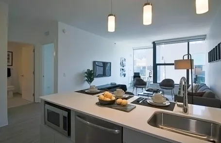 1 Bedroom West Loop Apartment