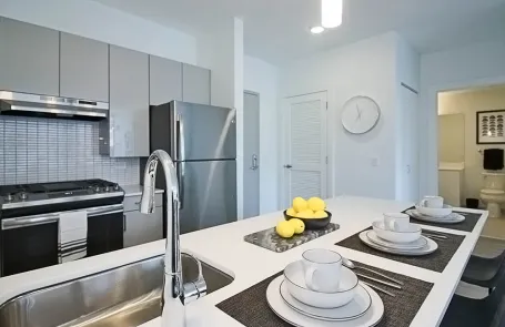 2 Bedroom West Loop Apartment