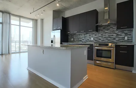 1 Bedroom South Loop Apartment