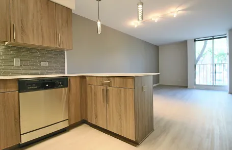 1 Bedroom University Village Apartment