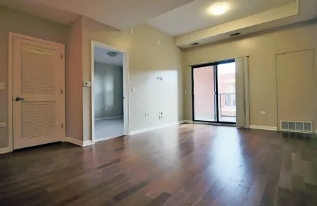 1 Bedroom South Loop Apartment