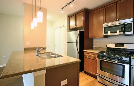 1 Bedroom South Loop Apartment