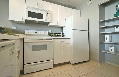 1 Bedroom Streeterville Apartment