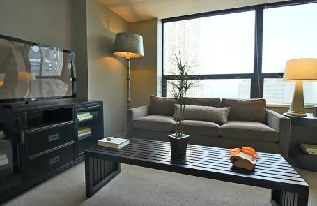 1 Bedroom Streeterville Apartment