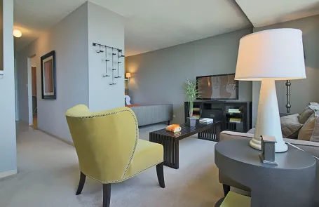 1 Bedroom Streeterville Apartment