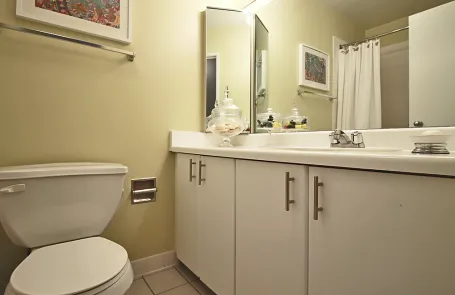 1 Bedroom Streeterville Apartment