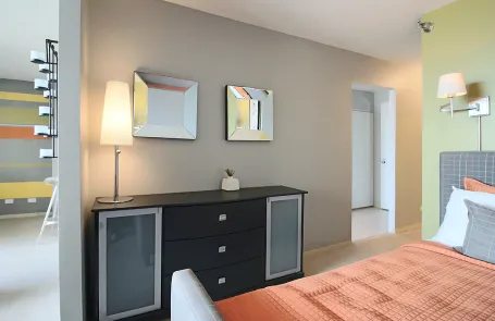 1 Bedroom Streeterville Apartment