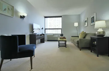 1 Bedroom Streeterville Apartment