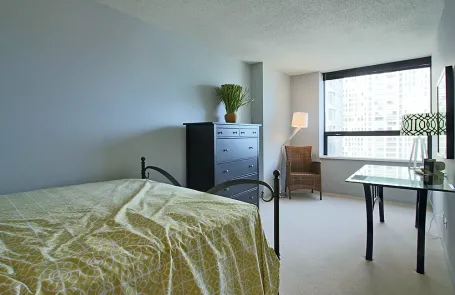 1 Bedroom Streeterville Apartment