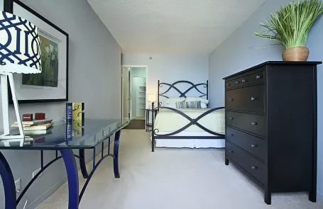 1 Bedroom Streeterville Apartment