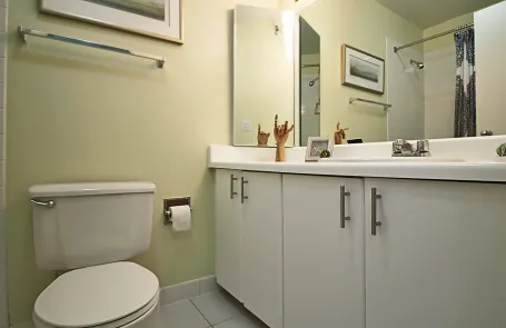 1 Bedroom Streeterville Apartment