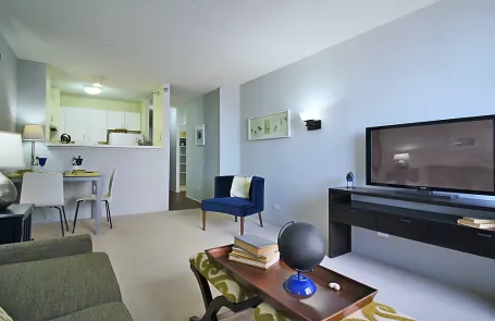 1 Bedroom Streeterville Apartment