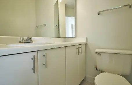 2 Bedroom Streeterville Apartment