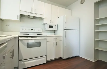 2 Bedroom Streeterville Apartment
