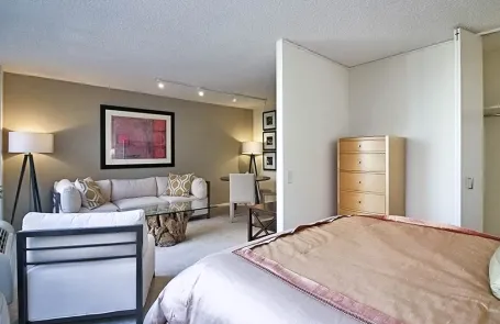 1 Bedroom Lakeshore East Apartment