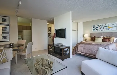 1 Bedroom Lakeshore East Apartment
