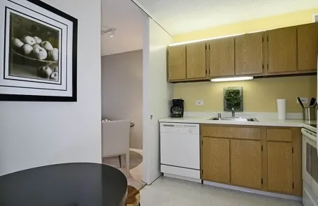 1 Bedroom Lakeshore East Apartment