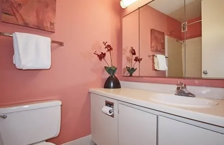 1 Bedroom Lakeshore East Apartment