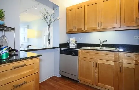 1 Bedroom Lakeshore East Apartment