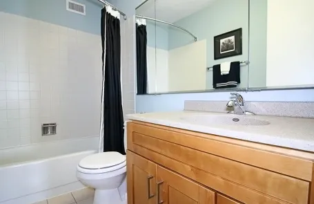 1 Bedroom Lakeshore East Apartment