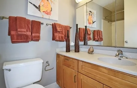 2 Bedroom Lakeshore East Apartment