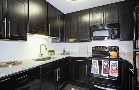 1 Bedroom River North Apartment