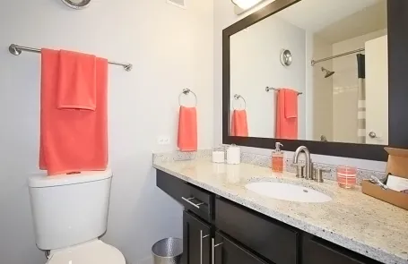 1 Bedroom River North Apartment