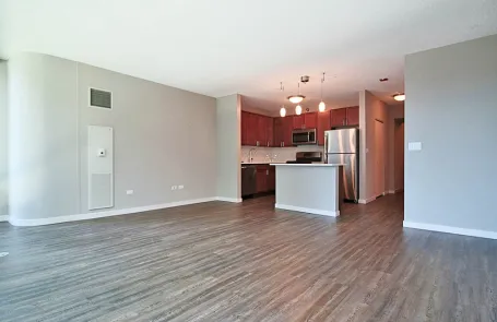 Studio Streeterville Apartment