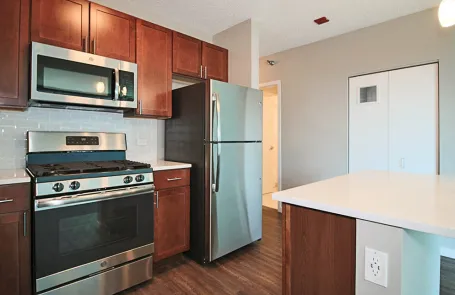 Studio Streeterville Apartment