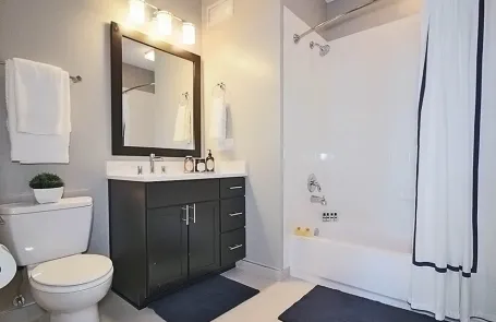 1 Bedroom Streeterville Apartment
