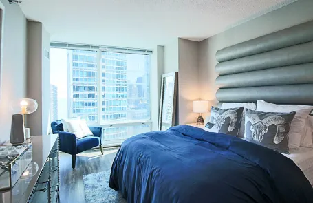 1 Bedroom Streeterville Apartment