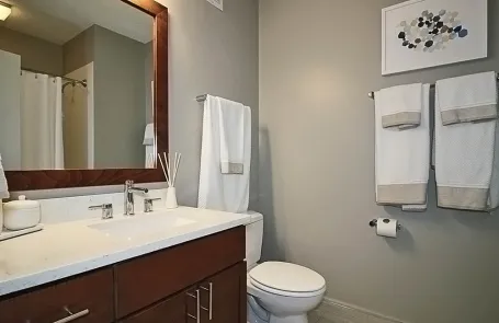 2 Bedroom Streeterville Apartment