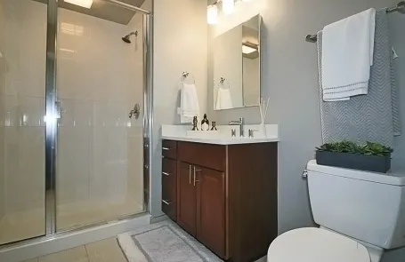 2 Bedroom Streeterville Apartment