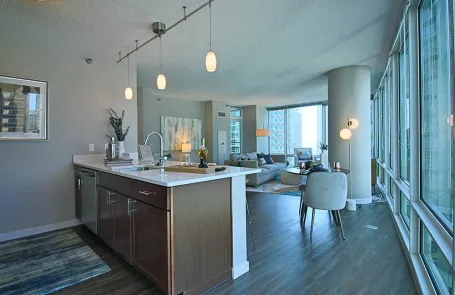2 Bedroom Streeterville Apartment