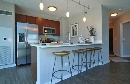 2 Bedroom Streeterville Apartment