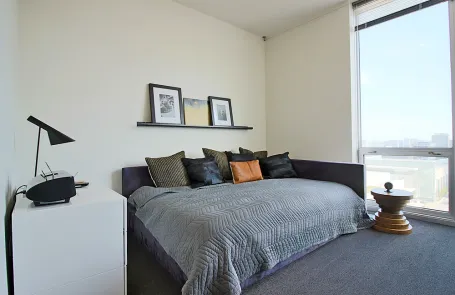 1 Bedroom South Loop Apartment