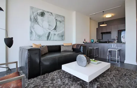 1 Bedroom South Loop Apartment