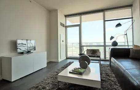 1 Bedroom South Loop Apartment