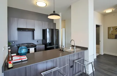 1 Bedroom South Loop Apartment
