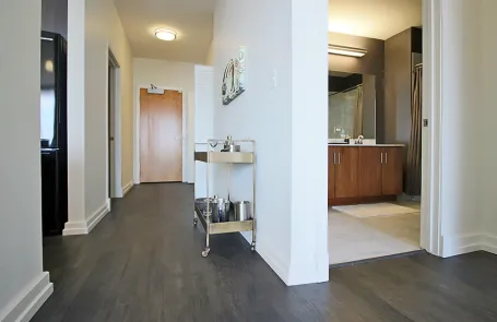 1 Bedroom South Loop Apartment
