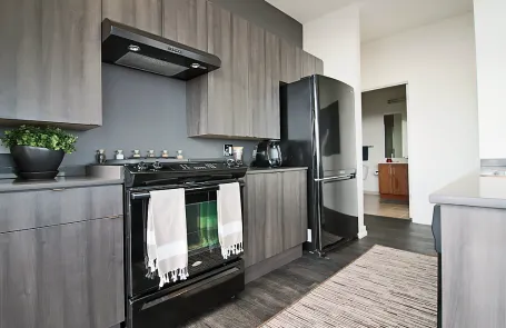 2 Bedroom South Loop Apartment