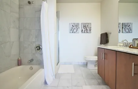 2 Bedroom South Loop Apartment