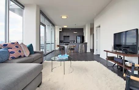 2 Bedroom South Loop Apartment
