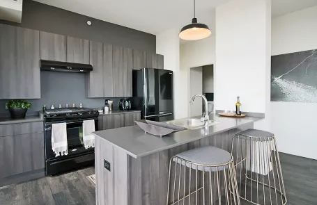 2 Bedroom South Loop Apartment