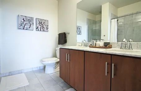 2 Bedroom South Loop Apartment