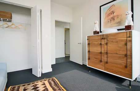 2 Bedroom South Loop Apartment