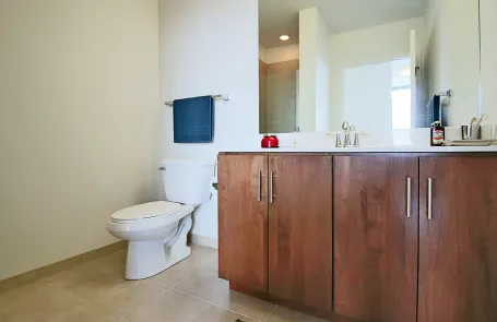 2 Bedroom South Loop Apartment